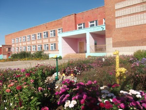 Входная группа Барановская средняя школа. 