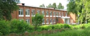 Входная группа Петуневская средняя школа. 