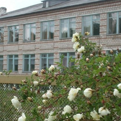 Входная группа Ягульская средняя школа. 